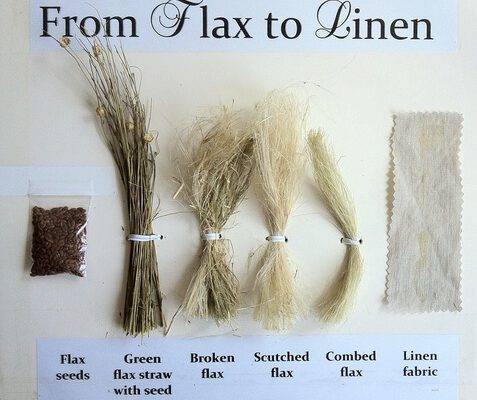 Linen Made From Flax